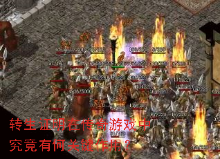 ת��֤���ڴ�����Ϸ�о����кιؼ����ã�