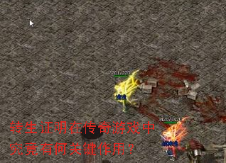 ת��֤���ڴ�����Ϸ�о����кιؼ����ã�