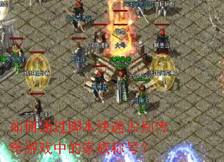 ���ͨ���ű�����ʶ������Ϸ�еļ���ƺţ�