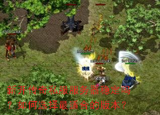 �¿�����˽���������ȶ������ѡ�����ʺϵİ汾��