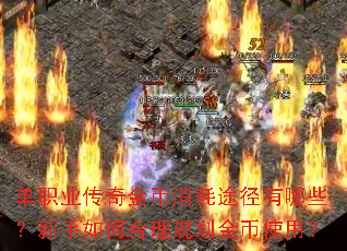 ��ְҵ����������;������Щ��������κ����滮���ʹ�ã�