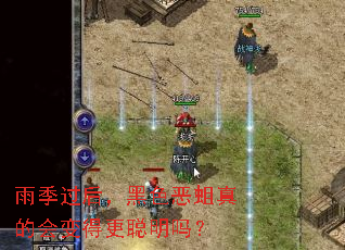 �꼾���󣬺�ɫ������Ļ��ø�������