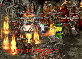 ��λ�ȡ��������������ѫ�£�