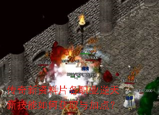 ����������Ƭ��ְҵ�����¼�����λ�ȡ��ӵ㣿