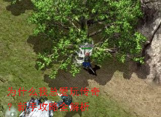 为什么我总爱玩传奇?新手攻略全解析 为什么我总爱玩传奇?新手攻略全解析