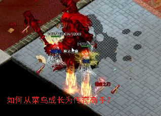 ÈçºÎ´Ó²ËÄñ³É³¤Îª´«Ææ¸ßÊÖ£¿ ÈçºÎ´Ó²ËÄñ³É³¤Îª´«Ææ¸ßÊÖ£¿