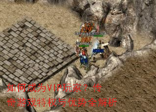 ��γ�ΪVIP��ң�������Ϸ��Ȩ������ȫ����