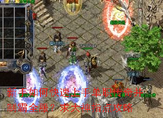 新手如何快速上手单职传奇并制霸全服?求大神指点攻略 新手如何快速上手单职传奇并制霸全服?求大神指点攻略