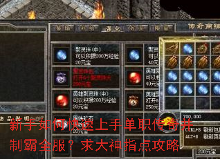 新手如何快速上手单职传奇并制霸全服?求大神指点攻略 新手如何快速上手单职传奇并制霸全服?求大神指点攻略