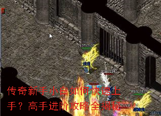 ��������С����ο������֣����ֽ��׹���ȫ����