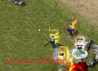 24����ʦ��ο��������ȼ���