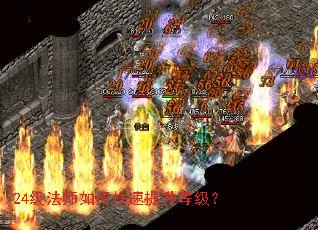 24����ʦ��ο��������ȼ���