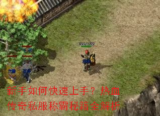 ������ο������֣���Ѫ����˽���ư��ؼ�ȫ����