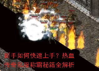 ������ο������֣���Ѫ����˽���ư��ؼ�ȫ����