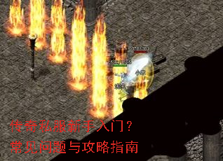 ����˽���������ţ����������빥��ָ��