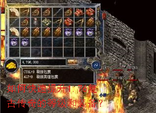 ��ο�������1.76���Ŵ���ĵȼ���װ����