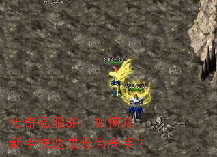 ����˽��SF����δ����ֿ��ٳɳ�Ϊ���֣�