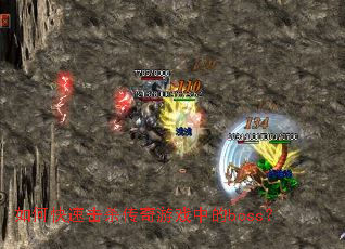 ��ο��ٻ�ɱ������Ϸ�е�boss��