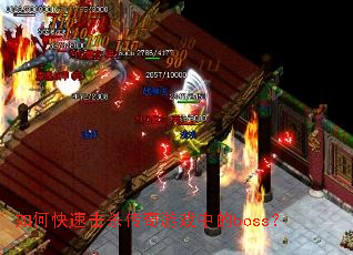 ��ο��ٻ�ɱ������Ϸ�е�boss��