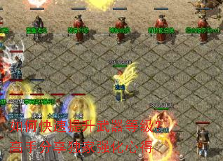 ��ο������������ȼ������ַ�������ǿ���ĵ�