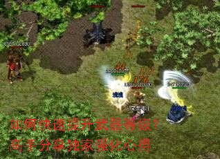 ��ο������������ȼ������ַ�������ǿ���ĵ�