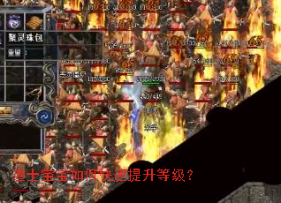 ��ʿ������ο��������ȼ���