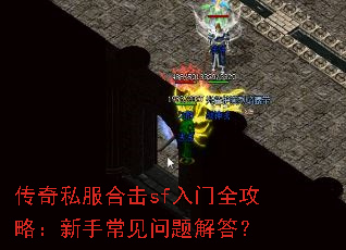 ����˽���ϻ�sf����ȫ���ԣ����ֳ���������