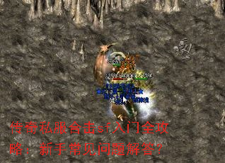 ����˽���ϻ�sf����ȫ���ԣ����ֳ���������