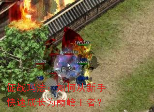 ��ս�귨����δ����ֿ��ٳɳ�Ϊ�۷����ߣ�