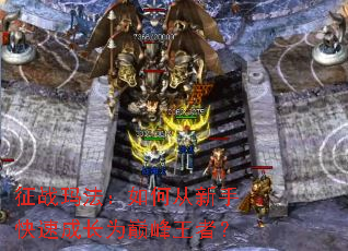 ��ս�귨����δ����ֿ��ٳɳ�Ϊ�۷����ߣ�