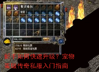 ������ο������������ﵰ�洫��˽������ָ��