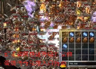 ������ο������������ﵰ�洫��˽������ָ��