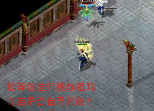 �͵ȼ���ʦ��ս���������Ƿ���Ѱ��·��