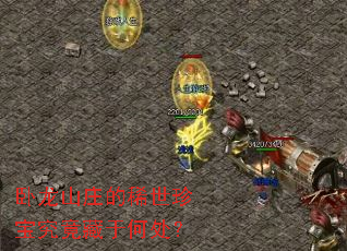 ����ɽׯ��ϡ���䱦�������ںδ���