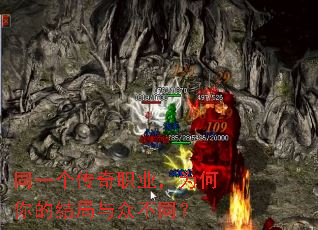 ͬһ������ְҵ��Ϊ����Ľ�����ڲ�ͬ��