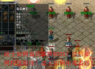 սʿ���ʡҩ����BOSS����ʦ��ο���ˢ�֣���ʿ����ö�ʡҩ��