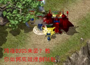 ���BOSS��Ϯ��������θ�Ч�Ƶ���ʤ