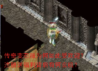 �����̬��Ϊ������ܻ�ӭ��ע���͸��������к�������