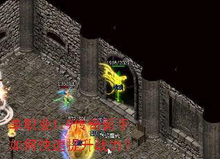 ��ְҵ1.9����������ο�������ս����