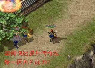 ��ο�����������˽��һ����ɫս����