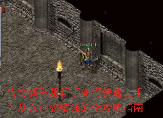 ������˽��������ο������֣������ŵ���ͨ��ȫ����ָ��