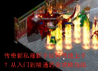 ������˽��������ο������֣������ŵ���ͨ��ȫ����ָ��