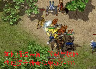 ���ͨ��װ�����ȼ��뼼�ܿ�����������˽��ս������