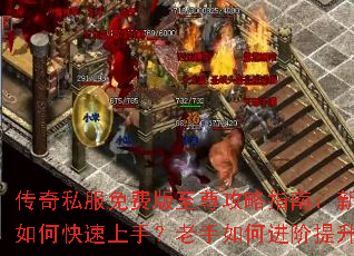 ����˽����Ѱ�������ָ�ϣ�������ο������֣�������ν���������