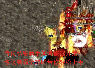 ����˽��������ο��ٿ��ģ������ư�ȫ���Դ�����������