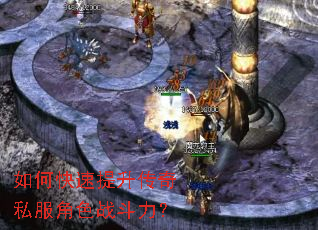 ��ο�����������˽����ɫս������