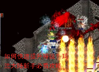 如何快速提升等级?玛法大陆新手必看攻略 如何快速提升等级?玛法大陆新手必看攻略