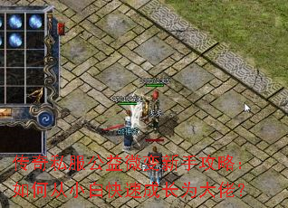 ����˽������΢�����ֹ��ԣ���δ�С�׿��ٳɳ�Ϊ���У�