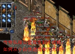 ����˽������΢�����ֹ��ԣ���δ�С�׿��ٳɳ�Ϊ���У�