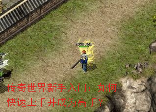 传奇世界新手入门:如何快速上手并成为高手? 传奇世界新手入门:如何快速上手并成为高手?